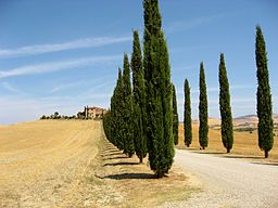 Val-d'Orcia, Tuscany